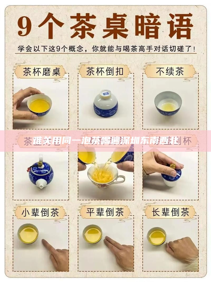 难关用同一泡茶喝遍深圳东南西北