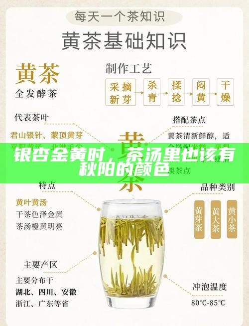 银杏金黄时，茶汤里也该有秋阳的颜色